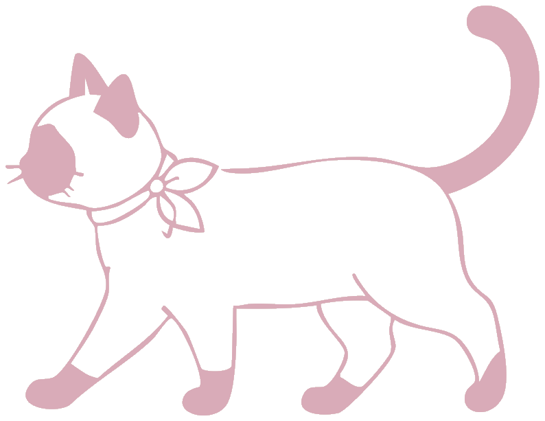 Gato ilustrado — estética felina en Bubbles Pets Spa, Zapopan