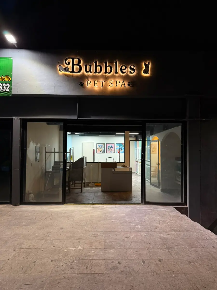 Fachada iluminada de Bubbles Pets Spa de noche, estética canina en Nuevo México, Zapopan